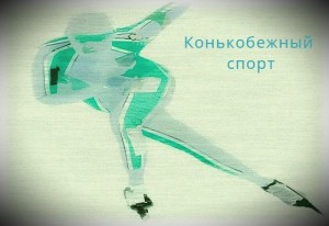 Чемпионат Европы по конькобежному спорту-2015